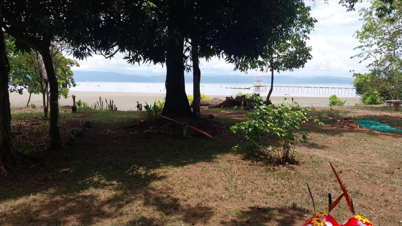Puerto Jiménez Happy Monkeysヴィラ エクステリア 写真