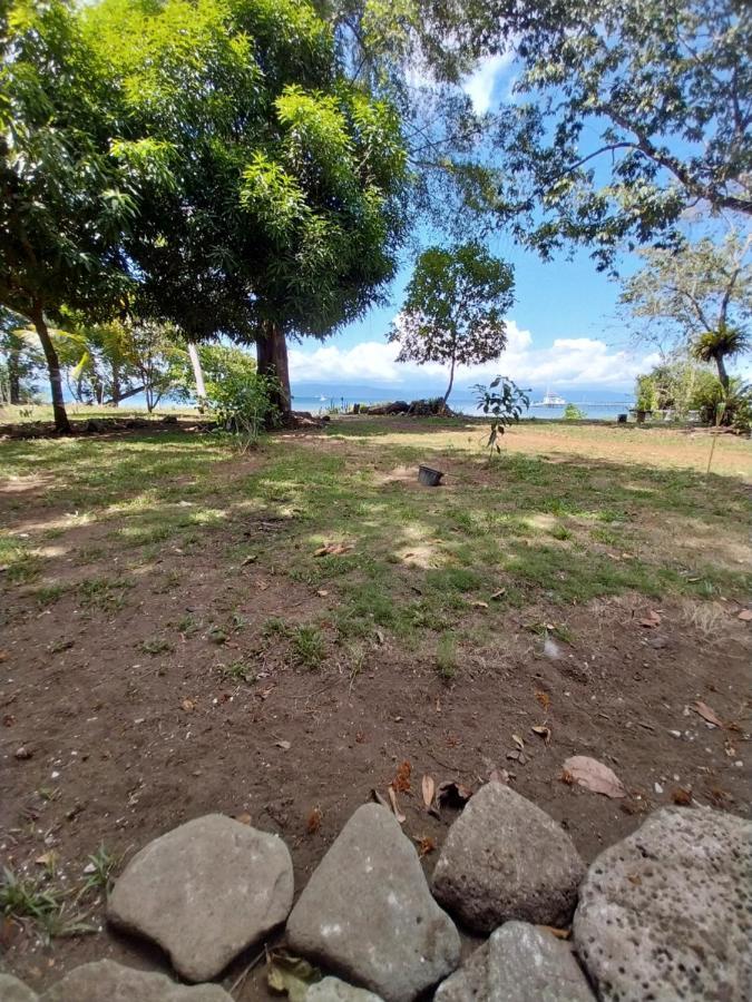 Puerto Jiménez Happy Monkeysヴィラ エクステリア 写真