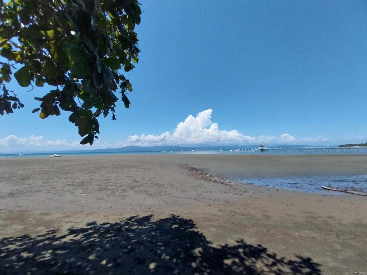 Puerto Jiménez Happy Monkeysヴィラ エクステリア 写真
