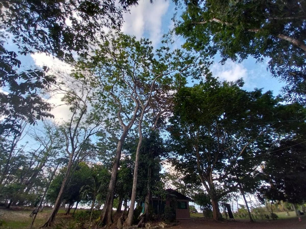 Puerto Jiménez Happy Monkeysヴィラ エクステリア 写真
