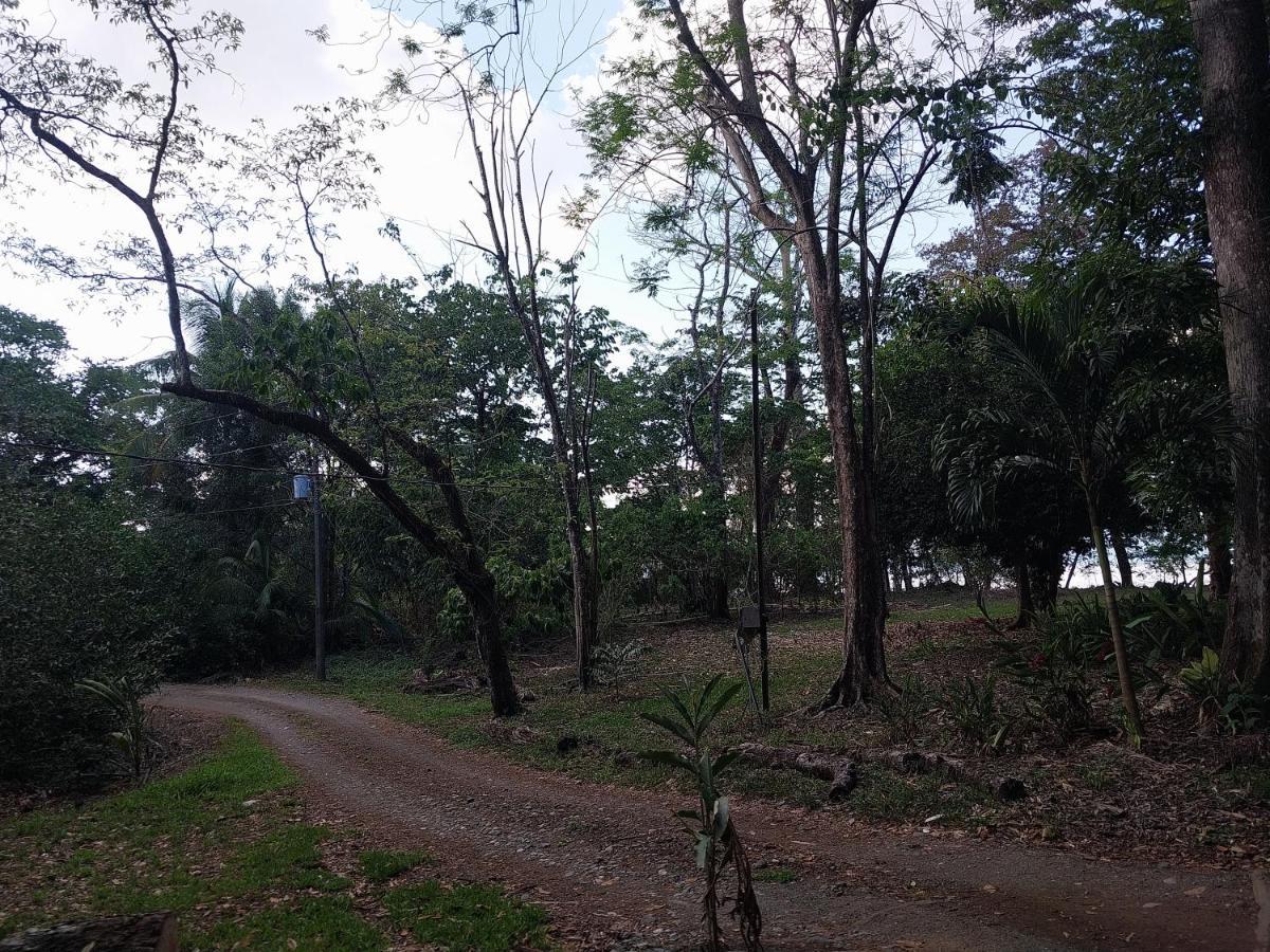 Puerto Jiménez Happy Monkeysヴィラ エクステリア 写真