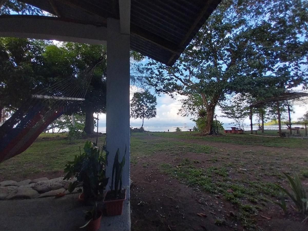 Puerto Jiménez Happy Monkeysヴィラ エクステリア 写真