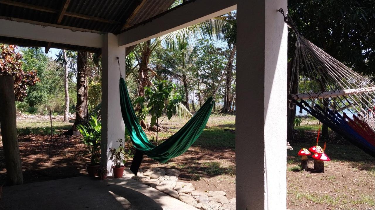 Puerto Jiménez Happy Monkeysヴィラ エクステリア 写真