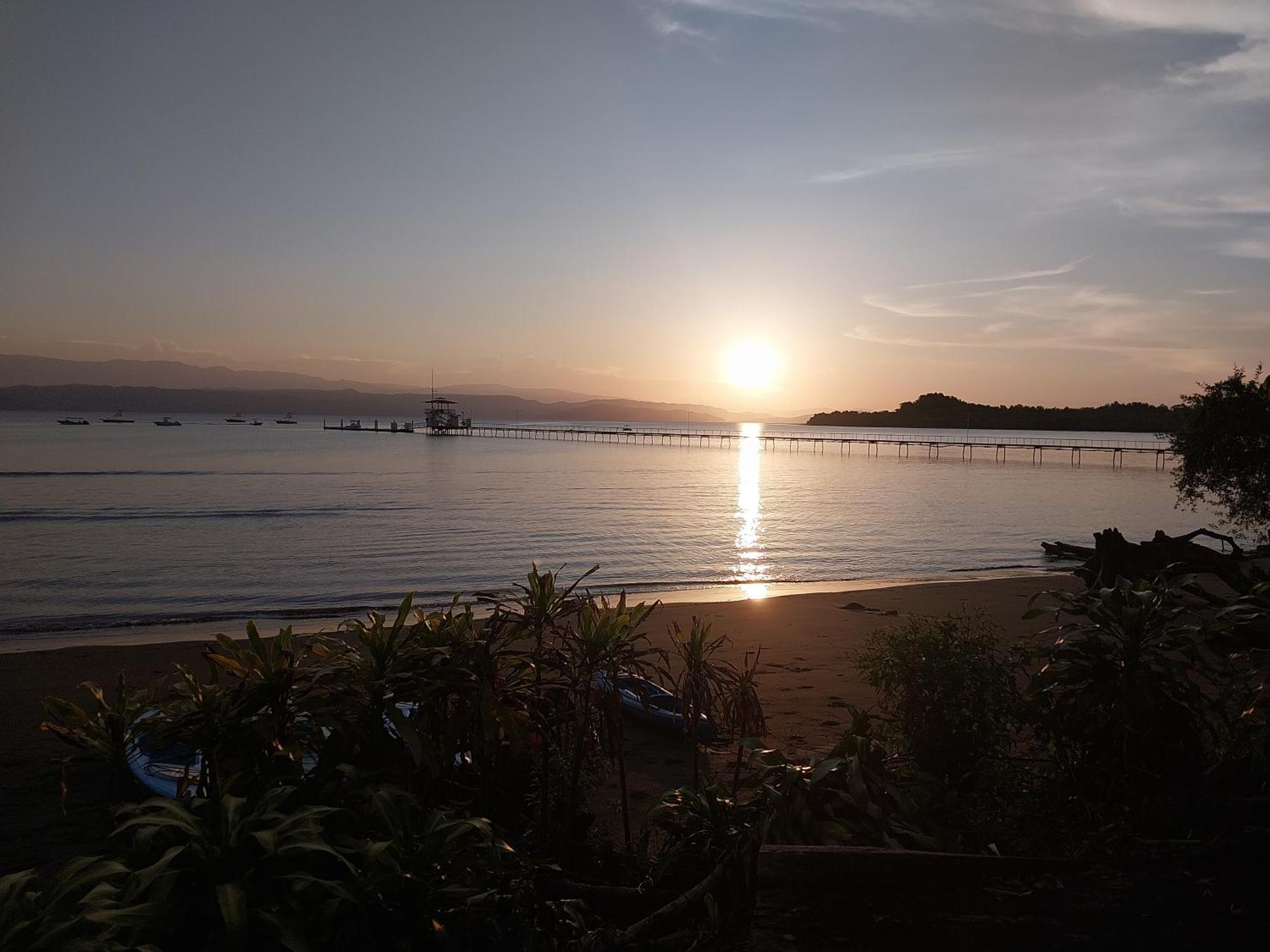 Puerto Jiménez Happy Monkeysヴィラ エクステリア 写真