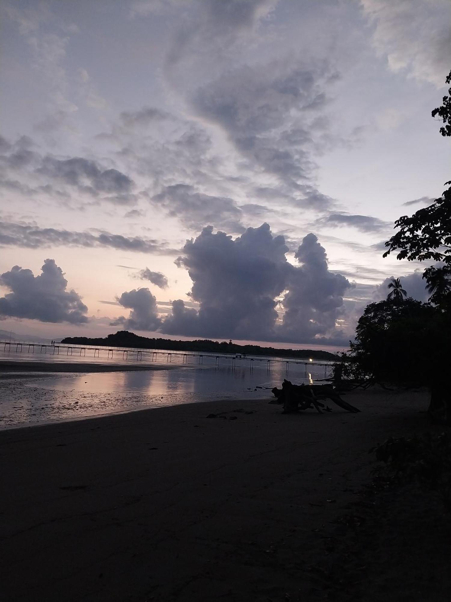Puerto Jiménez Happy Monkeysヴィラ エクステリア 写真